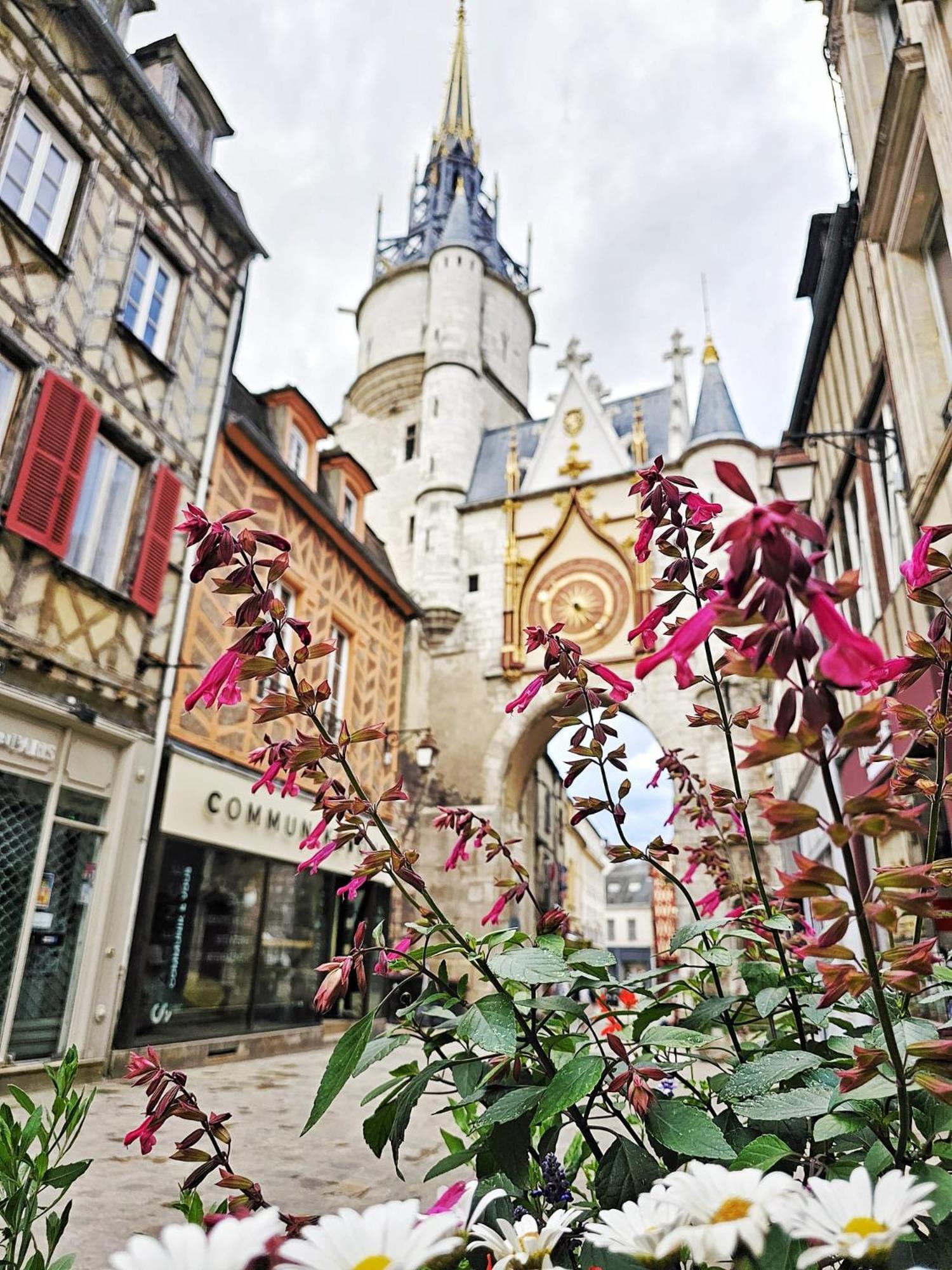 Ferienwohnung Aux'Cerfs - A Deux Pas De L'Abbaye Auxerre Exterior foto